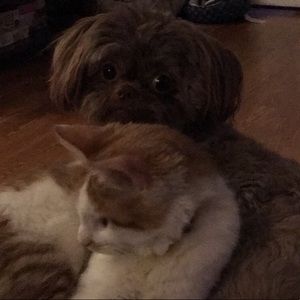 Meet your Posher, Joanne